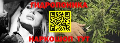 Альфа ПВП Кингисепп