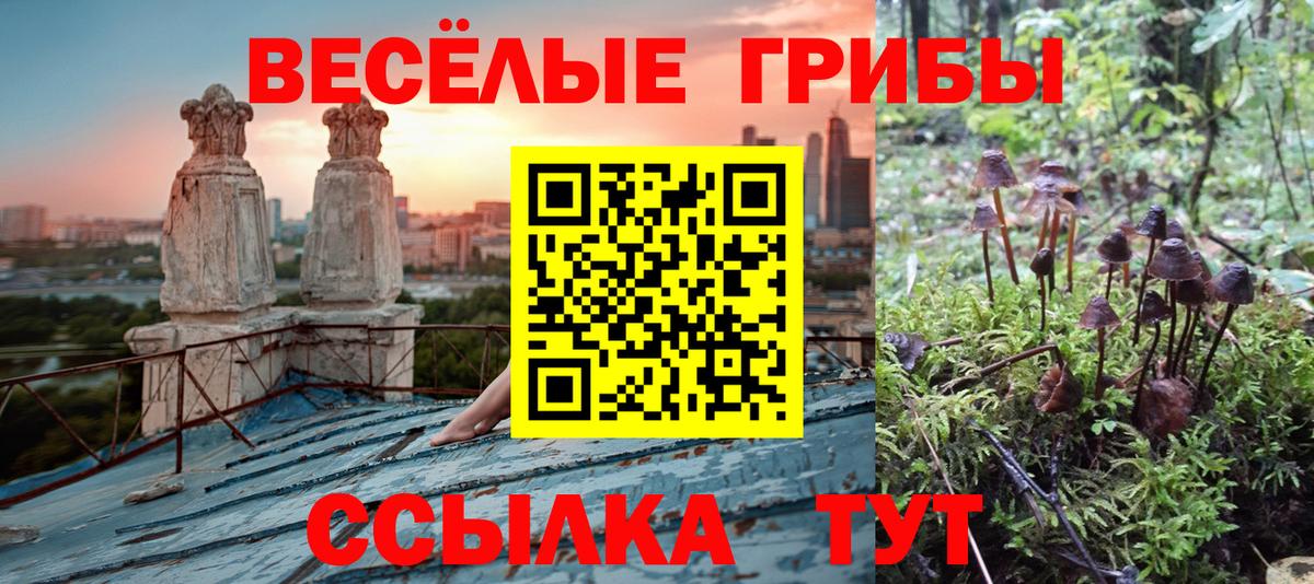 Псилоцибиновые грибы ЛСД  Вход с VPN  Биробиджан 